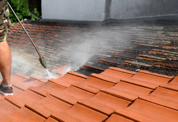 Best Residential Pressure Washing Services  in Three Forks, MT