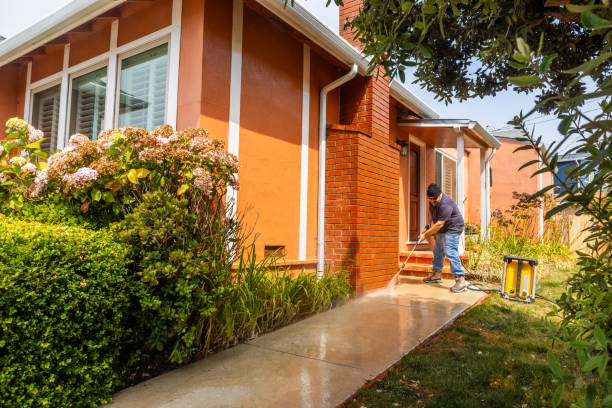 Best Pressure Washing Driveway  in Three Forks, MT